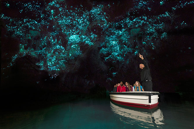 Waitomo Glowworm Caves, North Island New Zealand