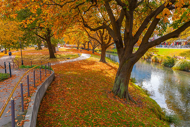 Avon River, Christchurch New Zealand