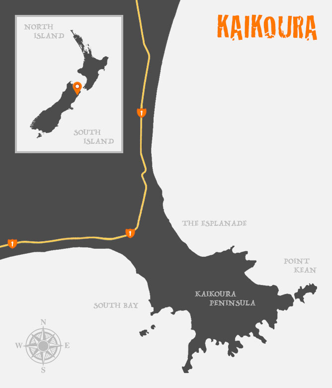 Map Of Kaikoura Township