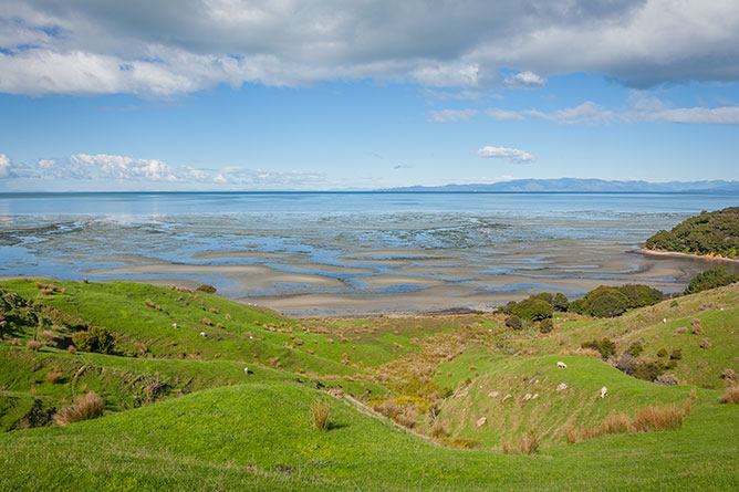 Puponga Hilltop Walk, Golden Bay