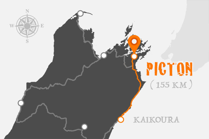 Kaikoura To Picton Driving Distance
