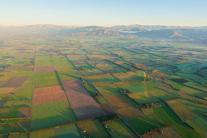 Hot Air Ballooning Over Canterbury Plains